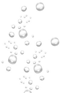 Customer Care Service